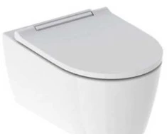 Geberit WISZ.MIS.ONE TURBOFLUSH Z DESKĄ CHR