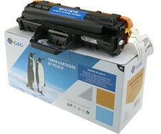 Toneris G&amp;G 14174 kaseta su tonerem 1 vnt. Zamiennik Juodas