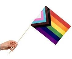 Globos Europe Bv LGBTQ+ vėliava ant pagaliuko