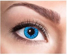 GMBH &amp; CO „Blue Star“ lęšiai, 12 mėnesių