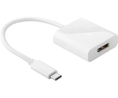 Goobay USB-C/DisplayPort, USB-C, DisplayPort, Kištukas/Lizdas, Balta