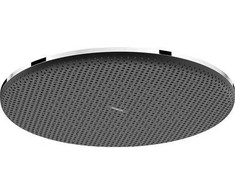 Hansgrohe Dušo galva RD A, ø300 mm, 1 srovė, išlenkta