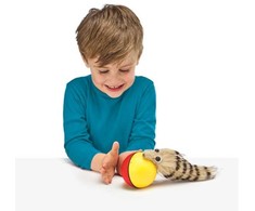 Bburago HAPPY PETS Flip Over Ferret