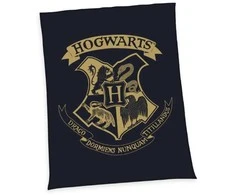 Herding Harry Potter ‘Haris Poteris‘ Wellsoft Vaikiškas užtiesalas