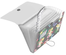 Penalas Herlitz Herlitz Fächermappe PP 12F Ladylike Butrfl.