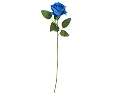 Hisabjoker Ab Mėlyna rose, 50 cm