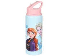 Hisabjoker Ab Disney Ledo šalis - aliuminio sportinis vandens buteliukas 730 ml (68690)