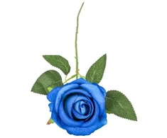 Hisabjoker Ab Mėlyna rose, 50 cm