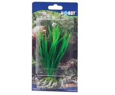 HOBBY Aquaristik 16 cm plastikinis Cyperus augalas