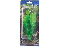 HOBBY Aquaristik 20 cm plastikinis Echinodorus augalas