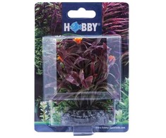 HOBBY Dirbtinė akvariumo augalo dekoracija 7 cm