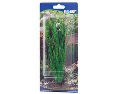 HOBBY Aquaristik 20 cm plastikinis Sagittaria augalas