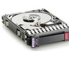Hewlett Packard (HP) HP 300GB hot-plug dual-port SAS hard disk drive - 10,000 RPM