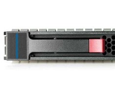 Hewlett Packard (HP) Dysk serwerowy HP 250GB 3.5'' SATA II (3 Gb/s) (713960-001)
