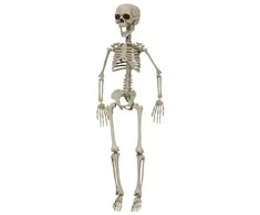 Hisabjoker Ab Joker - Halloween - Skeleton 76 cm (90091)