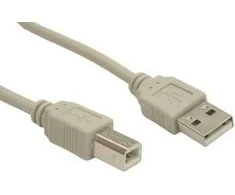 Kabelis USB Gembird USB-B - 3 m Kremas (CCUSB2AMBM10)