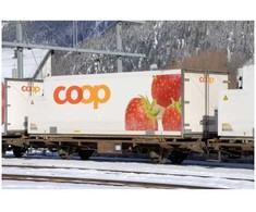 Kato KATO 7074103 Konteineris Coop Jordere WAB26 ir Salat WAB30