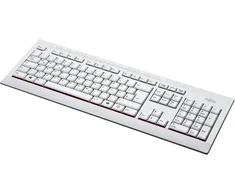 Klaviatūra Fujitsu KB521DE M520GREY BUNDLE