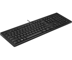 Klaviatūra HP 125 USB WD KBD (Bulk 12), viso dydžio (100 %), laidinis, USB, membraninis, QWERTY, juodas