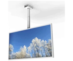 Laikiklis HI-ND CC4300-0201-01, balta, gulsčia, 109,2 cm (43"), lubinė, Samsung QM43C, LG UH5N-E, UM5N-H