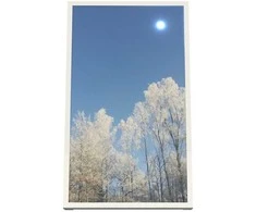 Laikiklis HI-ND WC4300-5101-01, Balta, Portretinis, 109,2 cm (43"), Sieninis, Samsung QM43C – LG UM5N-E, UH5N-E