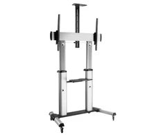 Laikiklis ROLINE 17031261, 152.4 cm (60"), 2.54 m (100"), 200 x 200 mm, 1000 x 600 mm, 5 - -10°, Sidabrinis