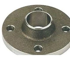 Lemvigh Muller Kaklo flanšas P250GH PN6 DN65/76.1