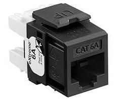 Leviton Brand Rex Levitonas apie 1610 m., juodas
