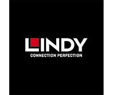 Lindy CAM USB ir VGA, skirtas CATxx-IP KVM jungikliui, USB kat. 5 kompiuterio modulis - 39634