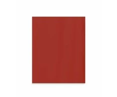Lintex Nuotaikos siena iš stiklo pluošto 1000x1250 mm