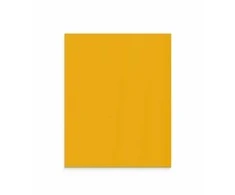 Lintex Nuotaikos siena iš stiklo pluošto 1000x1250 mm
