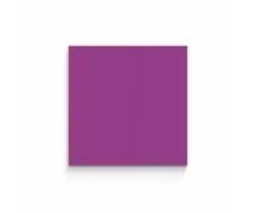 Lintex Nuotaikos siena, stiklinė, 300x300 mm