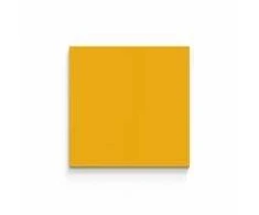 Lintex Nuotaikos siena, stiklinė, 300x300 mm