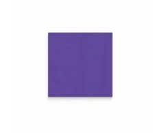 Lintex Nuotaikos siena iš stiklo pluošto 500x500 mm