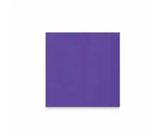 Lintex Nuotaikos siena, stiklinė, 750x750 mm