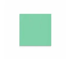 Lintex Nuotaikos siena, stiklinė, 750x750 mm