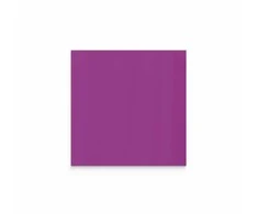 Lintex Nuotaikos siena, stiklinė, 750x750 mm