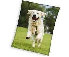 MCU Hund Coral Fleece tæppe - 150 x 200 cm