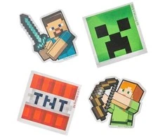 MINECRAFT trintukų rinkinys, 4 vnt., 166507104