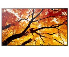 Monitorius NEC Sharp MODELIS PN-502, 50" M serijos didelio formato ekranas, UHD, 550 cd/m2, D-LED apšvietimas, atsparus 24/7 veikimui, SDM lizdas, CM lizdas