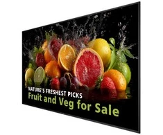 Monitorius TV Set Philips 98BDL5050D Digital Signage Ekranas, 98 inch, 4K, Android