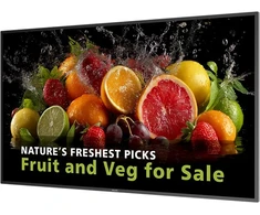 Monitorius Philips 55BDL5050D/00 | D linija | 55" | 3840 x 2160 | 600 nitų | Veikia visą parą | Integruotas garsiakalbis | „Android SoC“