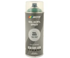 Motip Ral 6000 blizgi žalia patina