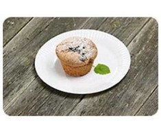 Multi Popierinės lėkštės 15 cm biologiškai suyrančios baltos, 8 pakeliai x 250 vnt./kartoninė dėžė