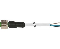 MURRELEKTRONIK M12 kištukas, D formos, 4x0.34 pilkas, 10 m, TY