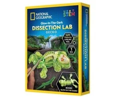 NATIONAL GEOGRAPHIC rinkinys Tamsoje šviečiančių gekonų skrodimo laboratorija, RTGECKOLAB
