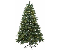 Nsh Nordic Dirbtinė Kalėdų eglutė iš PVC "ASH", B+ klasė, 210x138 cm su LED šviesa NORDIC WINTER (780-137)