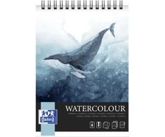 Oxford University Press Oksfordo universiteto spaudos AKMENS SPALVAS OXFART TW A4 10S 300G