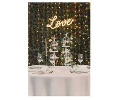 Party Deco LED eukalipto girlianda 2 m