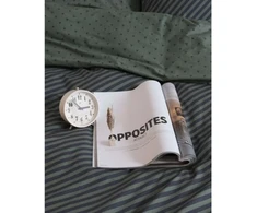 Patalynės komplektas Essenza Covers &amp; Co Essenza No Stripes No Glory Žalias 200x200